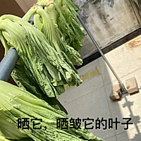 自制酸菜（无添加）的做法图解2