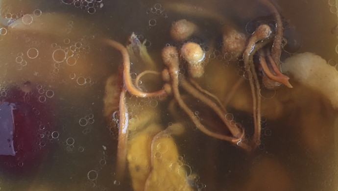秋季养生药膳排骨汤