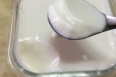 夏季常温发酵的酸奶
