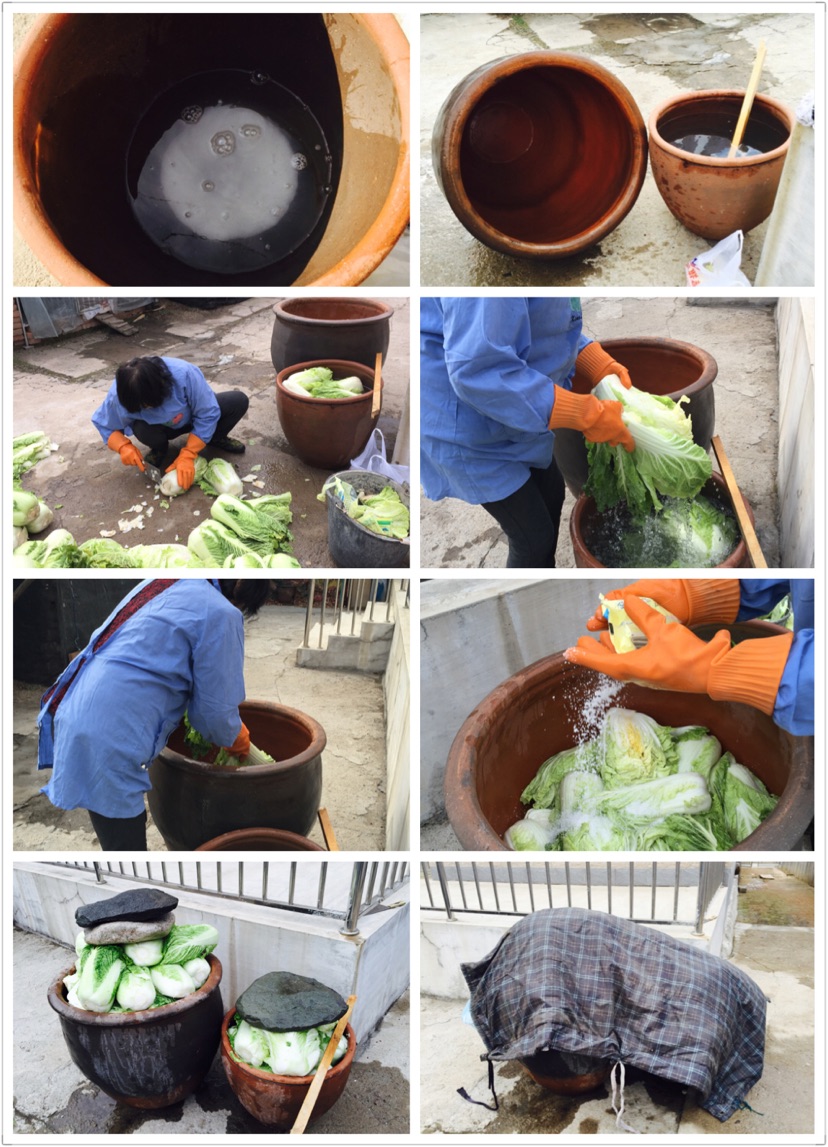 地窖辣白菜的做法图解2