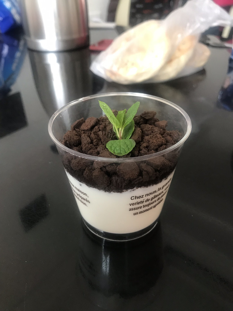 奥利奥盆栽酸奶的做法