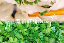 韭菜鲜虾猪肉饺#春日养生局的做法