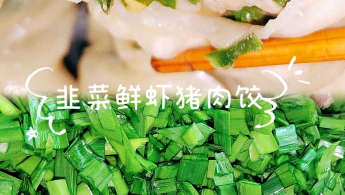 韭菜鲜虾猪肉饺#春日养生局