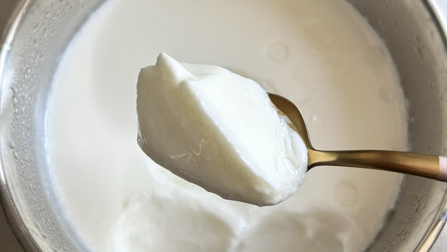 用酸奶复制酸奶的做法