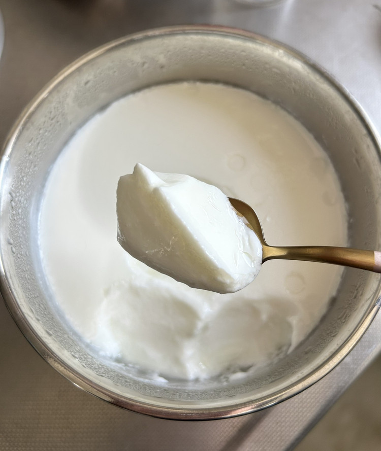 用酸奶复制酸奶的做法
