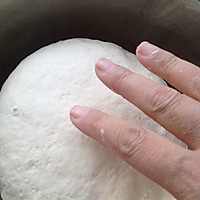 白菜肉包子（附发面的详细做法）的做法图解3