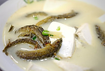风味菜~泥鳅豆腐汤的做法