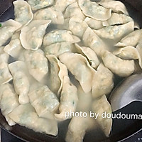 春韭菜豆腐鸡蛋饺子的做法图解8