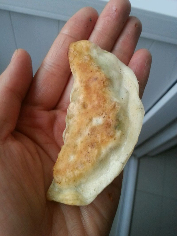 菠菜鸡蛋馅饼（菜盒）