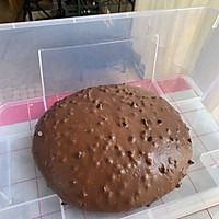 脏小豆—可可巧克力面包（直接法）的做法图解10