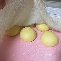 南瓜奶酪蔓越莓排包#跨界烤箱 探索味来#的做法图解7