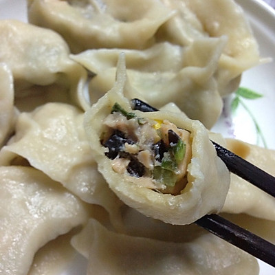 芹菜猪肉馅和芹菜三文鱼馅水饺