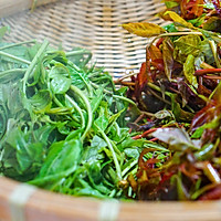 芝麻香椿的做法图解3