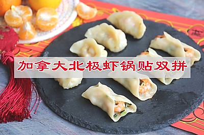 加拿大北极虾锅贴，整颗北极虾仁更美味