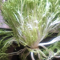 减肥健身之蔬菜水果沙拉的做法图解1
