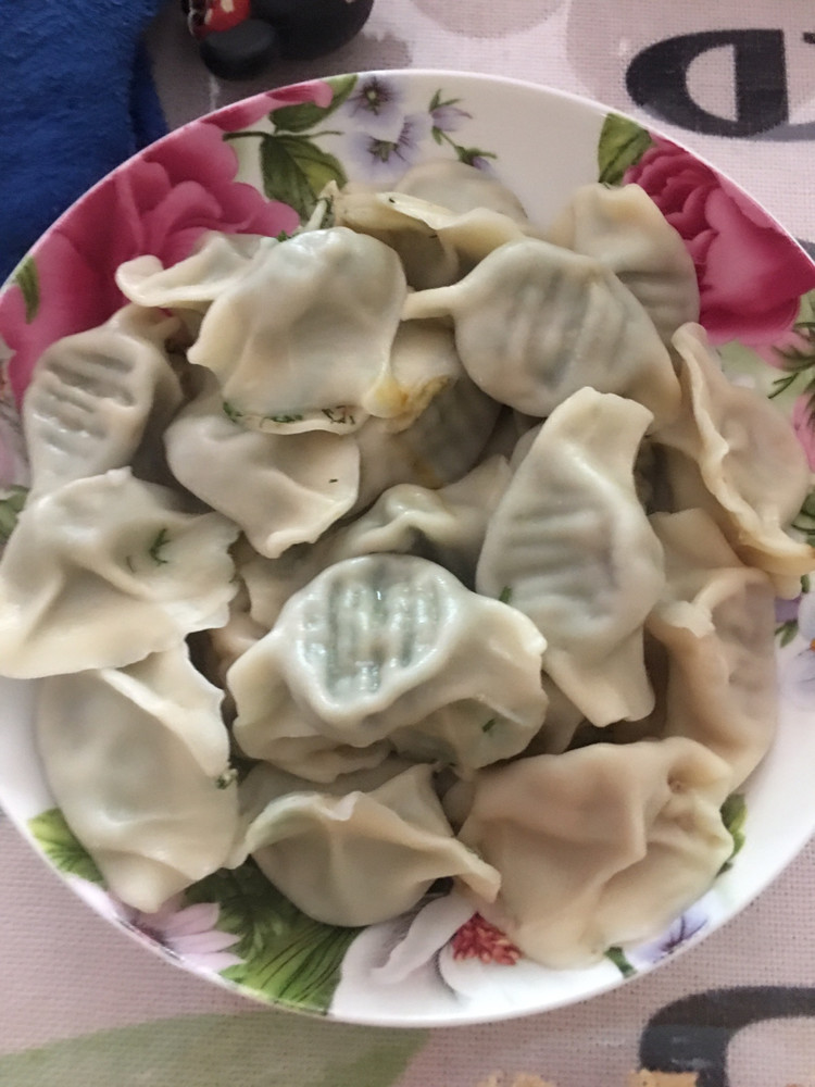 芹菜猪肉水饺，茴香猪肉水饺的做法