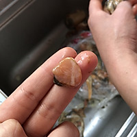 咸肉炖河蚌的做法图解3