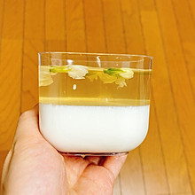 茉莉绿茶椰奶冻