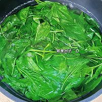 辣椒叶猪肝瘦肉汤的做法图解5
