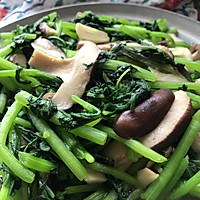 清炒香菇茼蒿 — 绿色蔬菜之旅的做法图解8