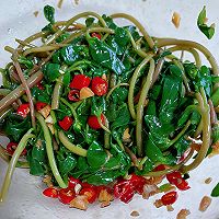 超简单的开胃野菜--马齿苋的做法图解5