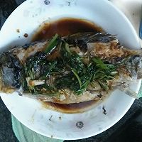 鲫鱼白菜汤～有菜有肉懒人快手菜的做法图解12