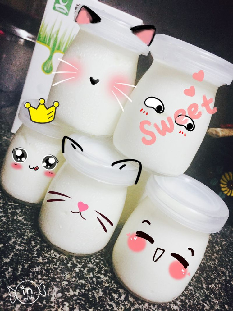 自制酸奶的做法
