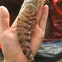 娃娃菜炖虾的做法图解5