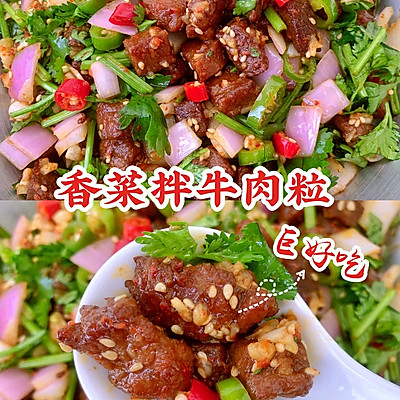 这个太绝了！巨好吃的香菜拌牛肉粒~后悔拌少了