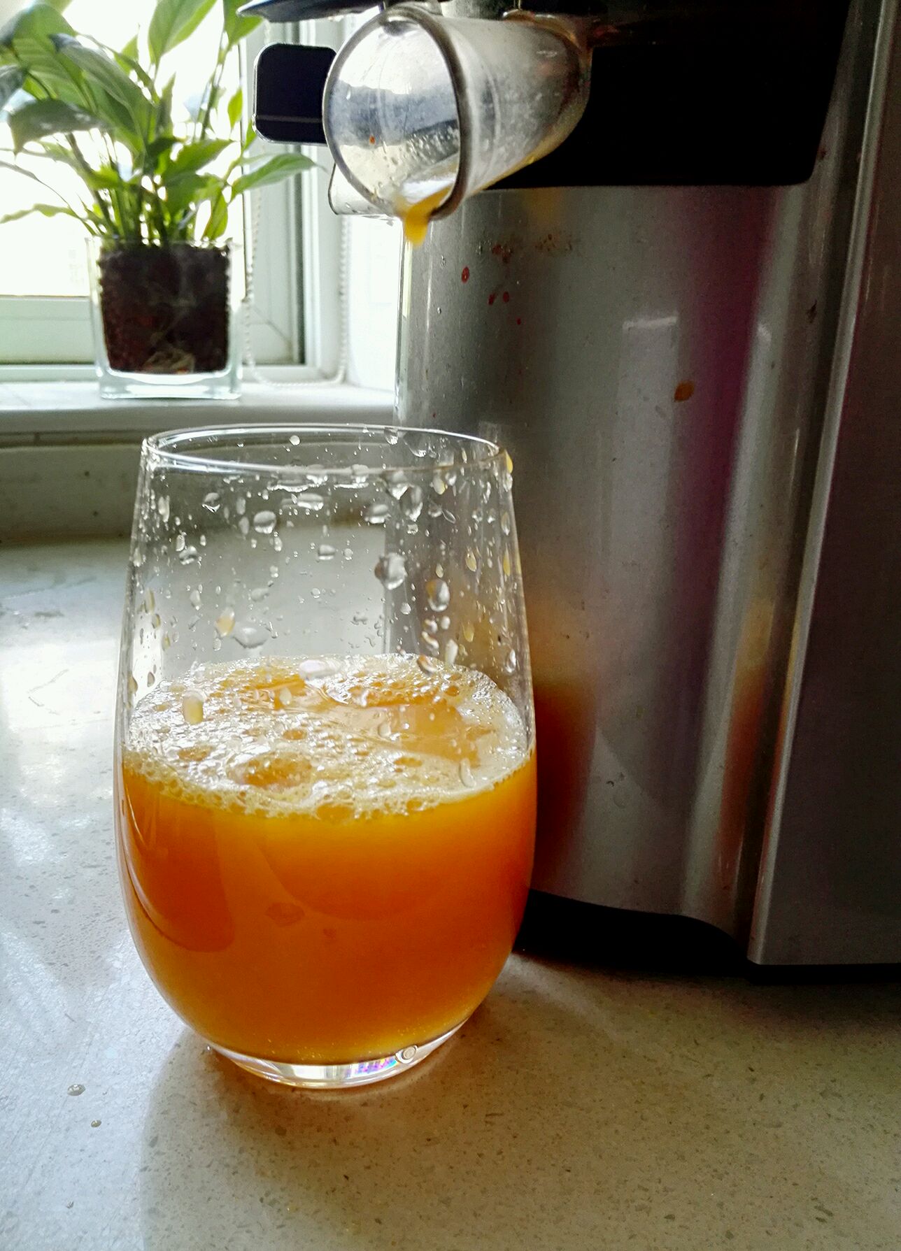 砂糖橘雪梨汁怎么做_砂糖橘雪梨汁的做法_谢小果美食_豆果美食
