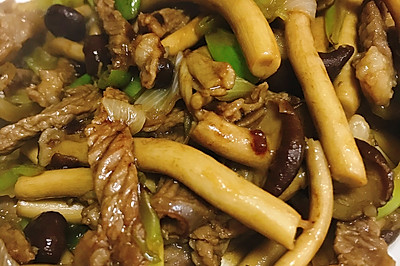 能量午餐-茶树菇炒牛肉
