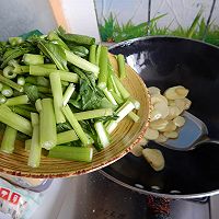 土豆烧菜根的做法图解4