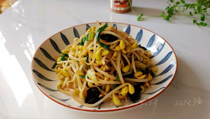 蒜辣酱焖胖豆芽