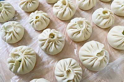 自制 包子+饺子