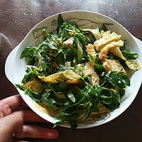 凉拌荆芥鸡蛋皮的做法图解7