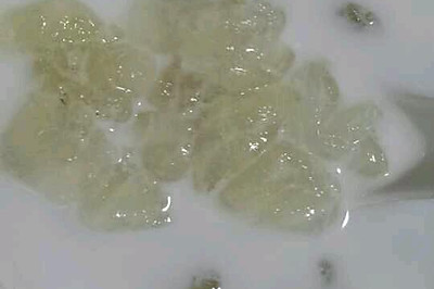 椰汁雪蛤