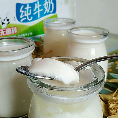 自制电饭锅版酸奶