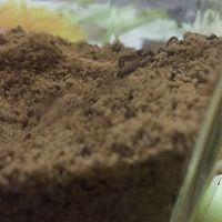 红枣杞子红糖姜饮的做法图解5