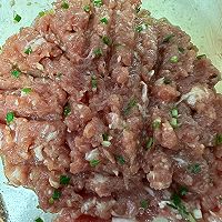 #鸡汁入家宴 感恩正当“食”#鸡汁鲜肉大馄饨的做法图解7