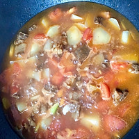 西红柿土豆炖牛肉的做法图解3