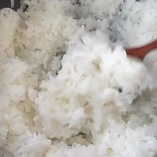魔芋米饭