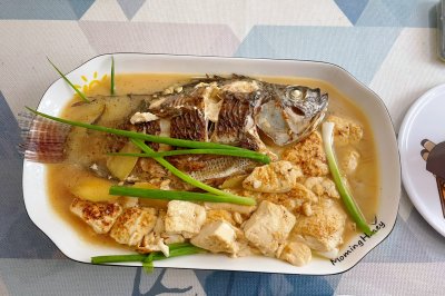 超鲜的罗非鱼焖豆腐