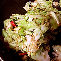经典家常菜—酱爆洋白菜的做法图解5