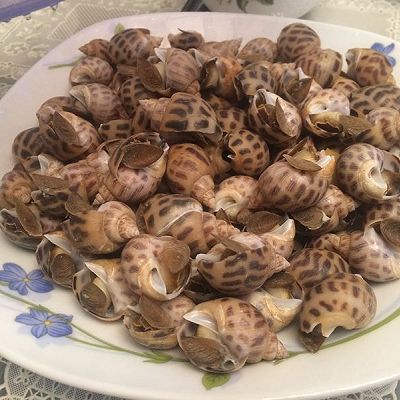 无敌简单的白灼花螺——完全可以当零食吃嘛！