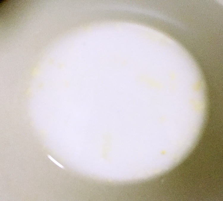 豇豆镶嵌珍珠丸的做法图解19