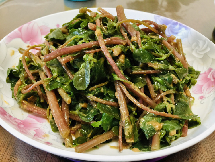 凉拌马齿苋的做法