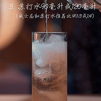 威士忌highball日式居酒屋必备鸡尾酒的做法图解3