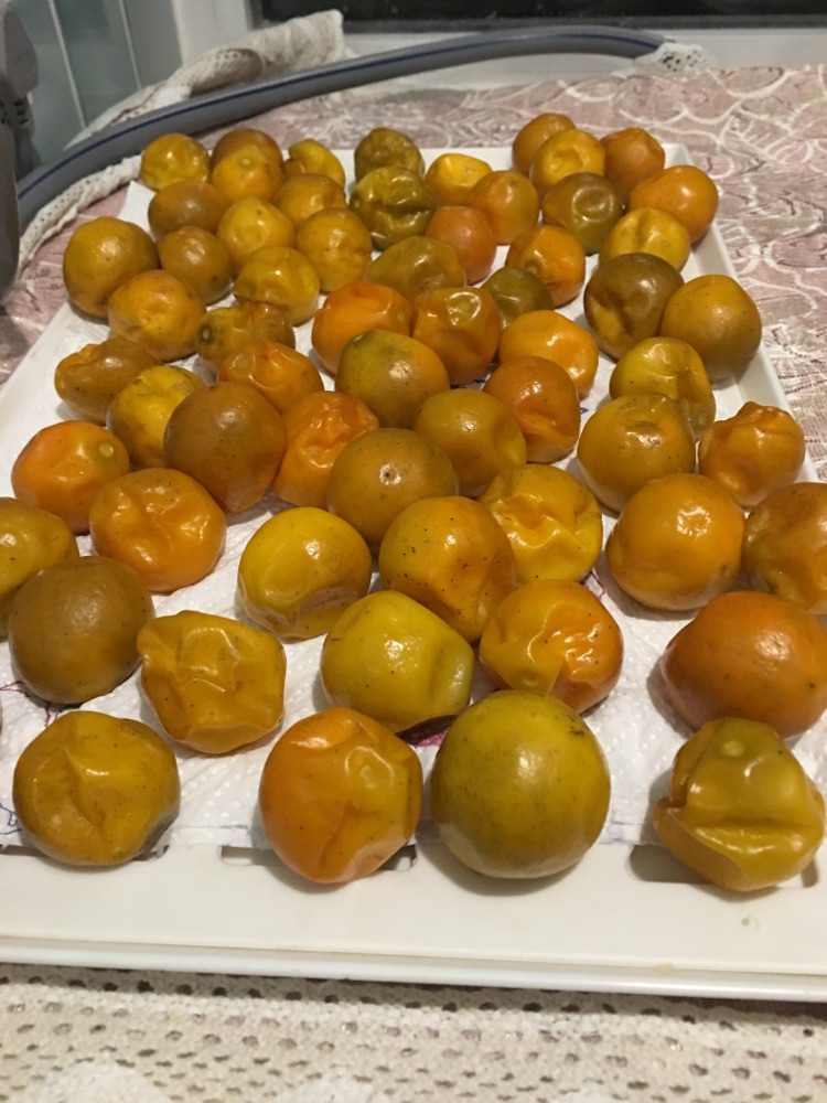 咸金桔（深重港剧之毒）的做法图解3