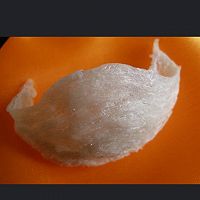 清炖燕窝的做法图解1
