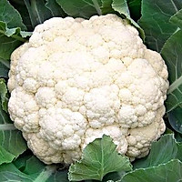 #东古家味美食#瘦身，防癌，补肾，素炒菜花，管饱不怕胖！的做法图解1